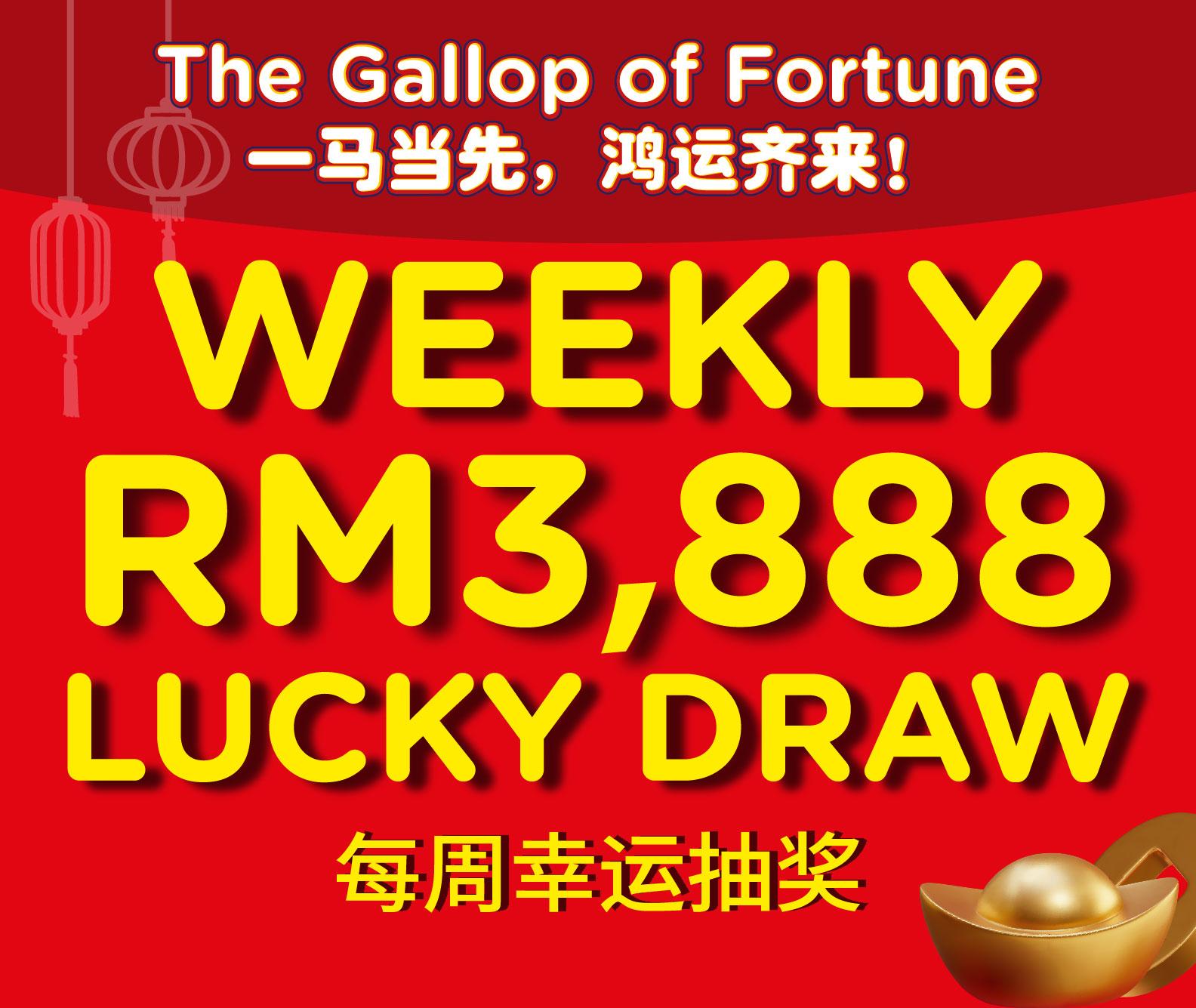 🐎 The Gallop of Fortune